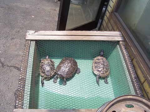 ��⃏�[�Q��(VW)���X K'S�}�X�^�[���L�E������BUS�̎g����