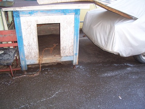 ��⃏�[�Q��(VW)���X K'S�}�X�^�[���L�E�H�͊ԋ�