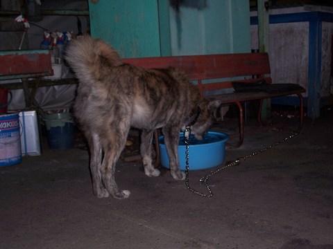 ��⃏�[�Q��(VW)���X K'S�}�X�^�[���L�E���̌�̓Ў��Y