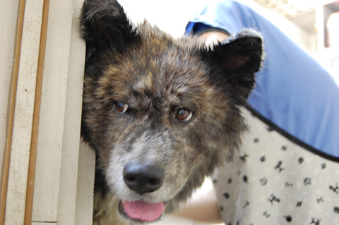 ��⃏�[�Q��(VW)���X K'S�}�X�^�[���L�E�Ў��Y�̉ċx��