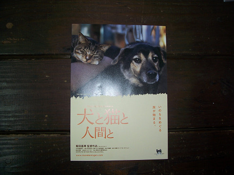 ��⃏�[�Q��(VW)���X K'S�}�X�^�[���L�E���ƔL�Ɛl�Ԃ�