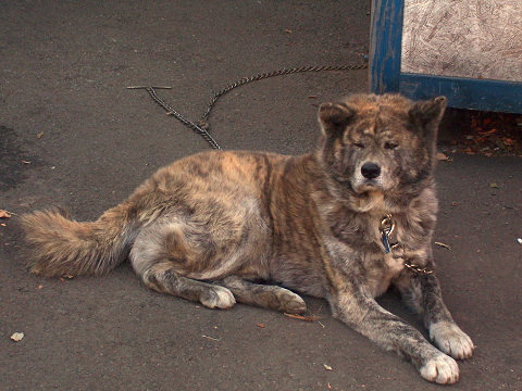 ��⃏�[�Q��(VW)���X K'S�}�X�^�[���L�E�{�N���X�������肢���܂�