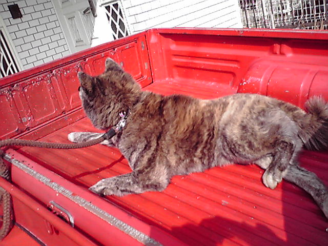 ��⃏�[�Q��(VW)���X K'S�}�X�^�[���L�E�Ў��Y�̍Г�