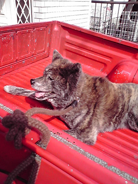 ��⃏�[�Q��(VW)���X K'S�}�X�^�[���L�E�Ў��Y�̍Г�