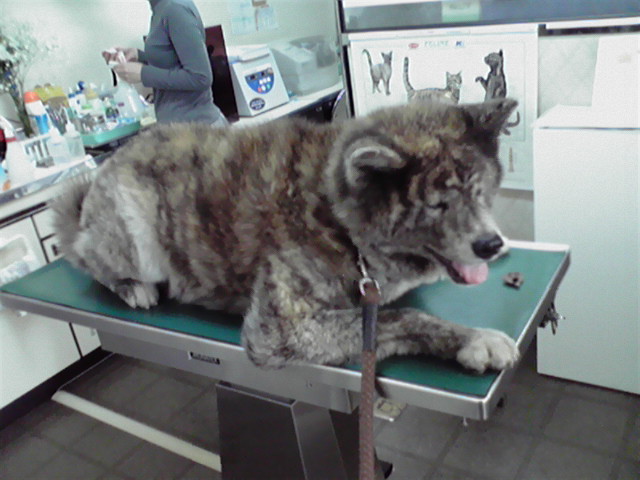 ��⃏�[�Q��(VW)���X K'S�}�X�^�[���L�E�Ў��Y�̍Г�