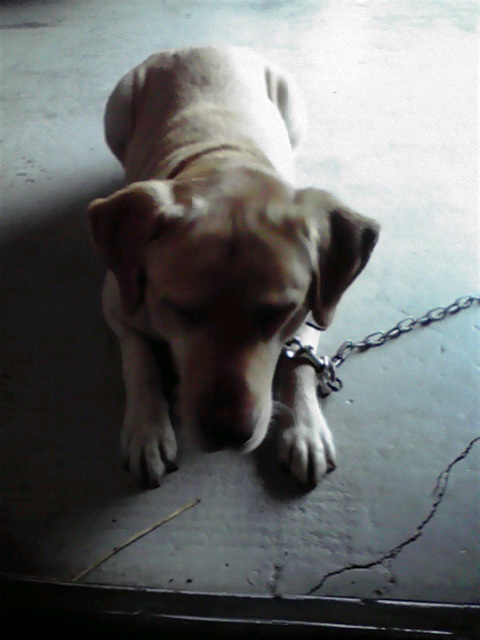 ��⃏�[�Q��(VW)���X K'S�}�X�^�[���L�E�t�͉����ł����H