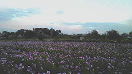 ��⃏�[�Q��(VW)���X K'S�}�X�^�[���L�E�H��