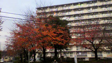 ��⃏�[�Q��(VW)���X K'S�}�X�^�[���L�E�H��