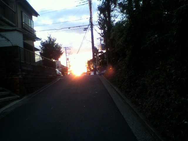 ��⃏�[�Q��(VW)���X K'S�}�X�^�[���L�E�J���X�̍s��