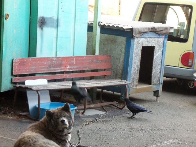 ��⃏�[�Q��(VW)���X K'S�}�X�^�[���L�E�J���X�̍s��