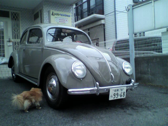 ��⃏�[�Q��(VW)���X K'S�}�X�^�[���L�E�P�U�C���`