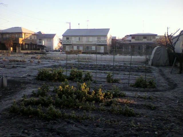 ��⃏�[�Q��(VW)���X K'S�}�X�^�[���L�E����