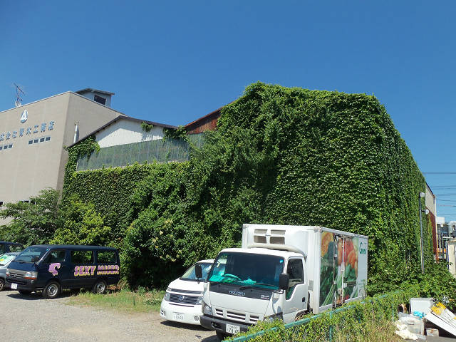 ��⃏�[�Q��(VW)���X K'S�}�X�^�[���L�E�ߓd�H