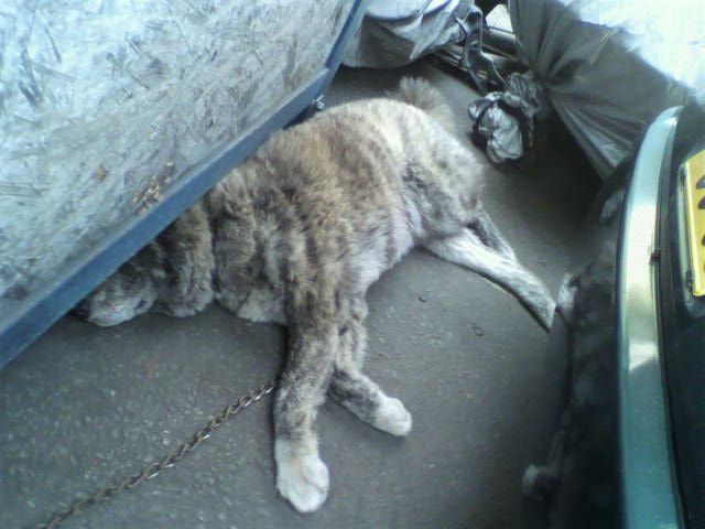 ��⃏�[�Q��(VW)���X K'S�}�X�^�[���L�E�ߓd�H