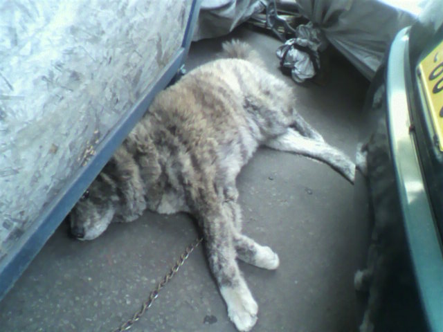 ��⃏�[�Q��(VW)���X K'S�}�X�^�[���L�E�ߓd�H