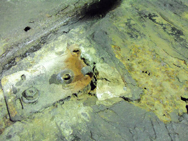 ��⃏�[�Q��(VW)���X K'S�}�X�^�[���L�E�c�O�ȃt���A