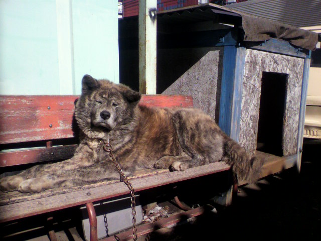 ��⃏�[�Q��(VW)���X K'S�}�X�^�[���L�E��