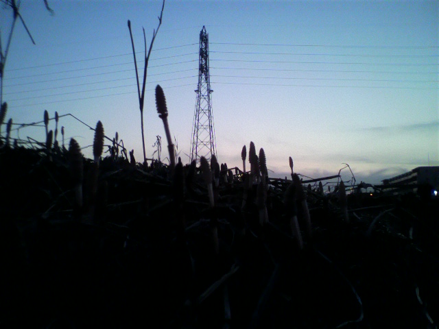 ��⃏�[�Q��(VW)���X K'S�}�X�^�[���L�E�t