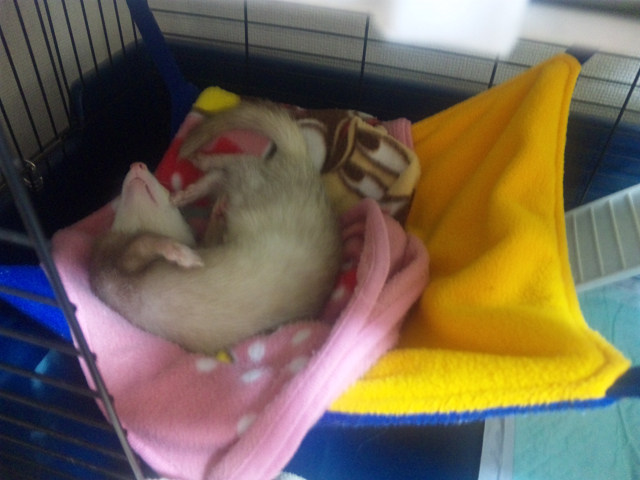 ��⃏�[�Q��(VW)���X K'S�}�X�^�[���L�E�t�F���b�g