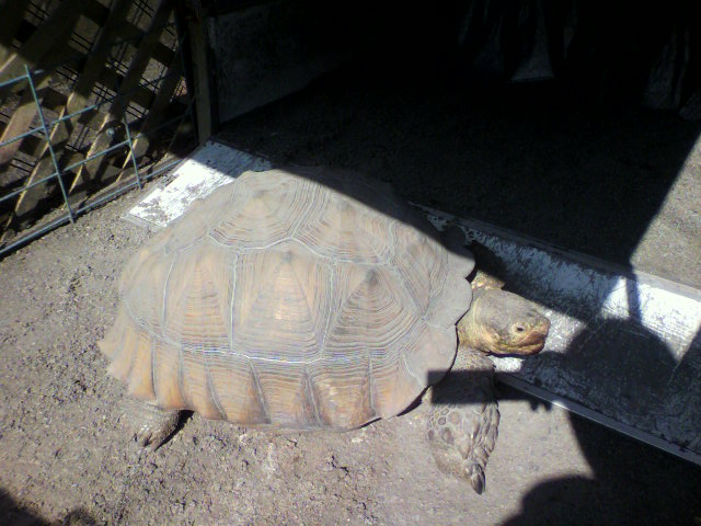 ��⃏�[�Q��(VW)���X K'S�}�X�^�[���L�E�䂪�Ƃ́E�E�E�E