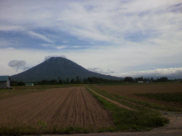 ��⃏�[�Q��(VW)���X K'S�}�X�^�[���L�ENorthern country�@�c�A�[�H�A