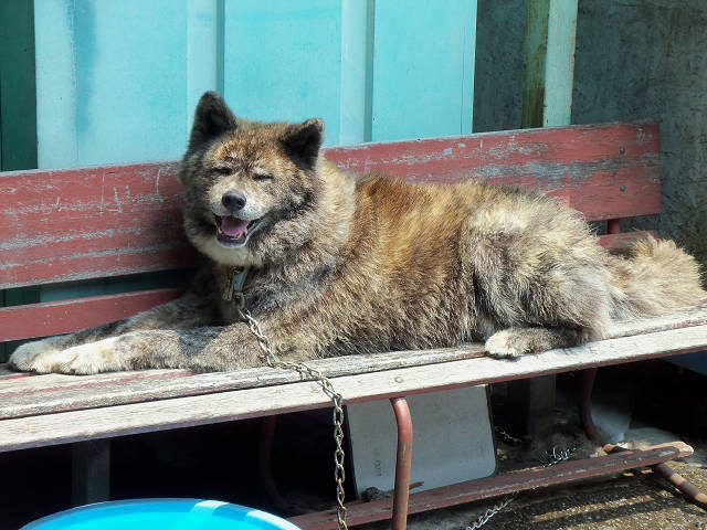 ��⃏�[�Q��(VW)���X K'S�}�X�^�[���L�E�Ђ̐���