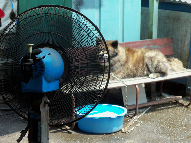 ��⃏�[�Q��(VW)���X K'S�}�X�^�[���L�E�Ђ̐���