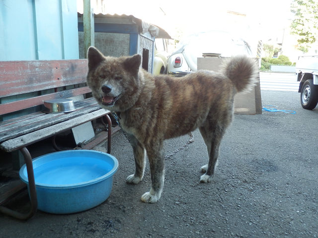 ��⃏�[�Q��(VW)���X K'S�}�X�^�[���L�E�c��