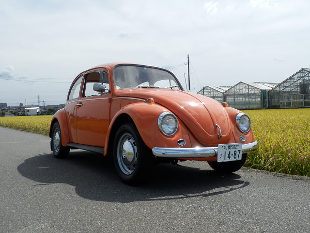 ��⃏�[�Q��(VW)���X K'S�}�X�^�[���L�E�H