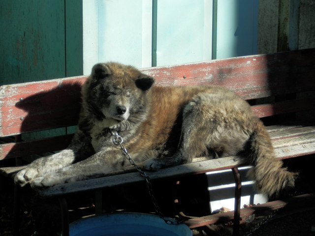 ��⃏�[�Q��(VW)���X K'S�}�X�^�[���L�E�����ڂ���