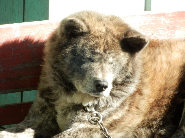 ��⃏�[�Q��(VW)���X K'S�}�X�^�[���L�E�����ڂ���