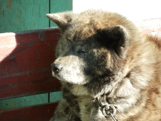 ��⃏�[�Q��(VW)���X K'S�}�X�^�[���L�E�����ڂ���