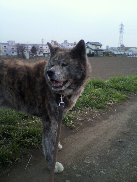 ��⃏�[�Q��(VW)���X K'S�}�X�^�[���L�E�����͊����炵���E�E�E