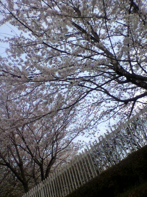 ��⃏�[�Q��(VW)���X K'S�}�X�^�[���L�E��