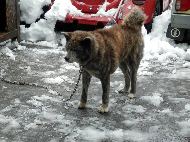 ��⃏�[�Q��(VW)���X K'S�}�X�^�[���L�E�Ⴉ���I��