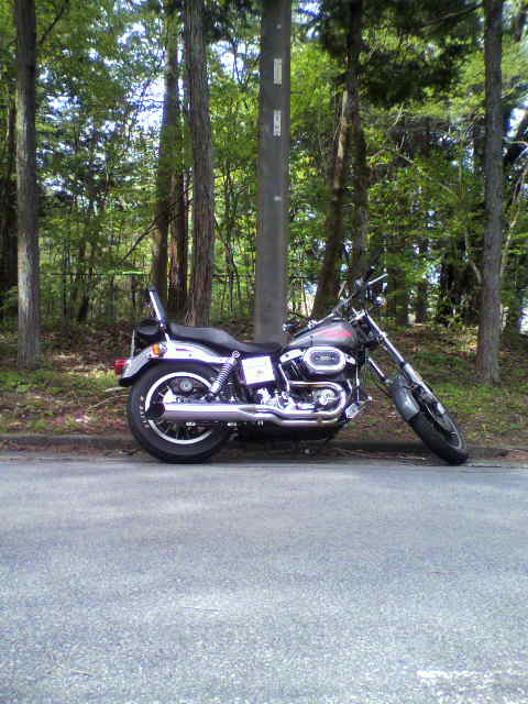 ��⃏�[�Q��(VW)���X K'S�}�X�^�[���L�E�Ԃ��ꑖ��