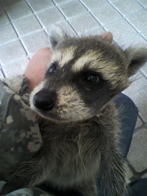 ��⃏�[�Q��(VW)���X K'S�}�X�^�[���L�E�x�@��