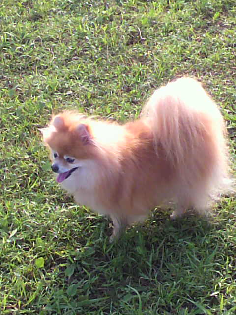 ��⃏�[�Q��(VW)���X K'S�}�X�^�[���L�E�U��