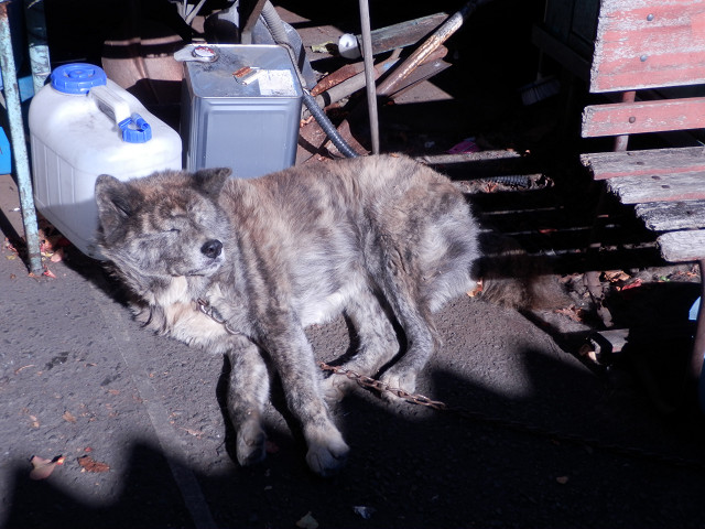 ��⃏�[�Q��(VW)���X K'S�}�X�^�[���L�E�����ڂ���