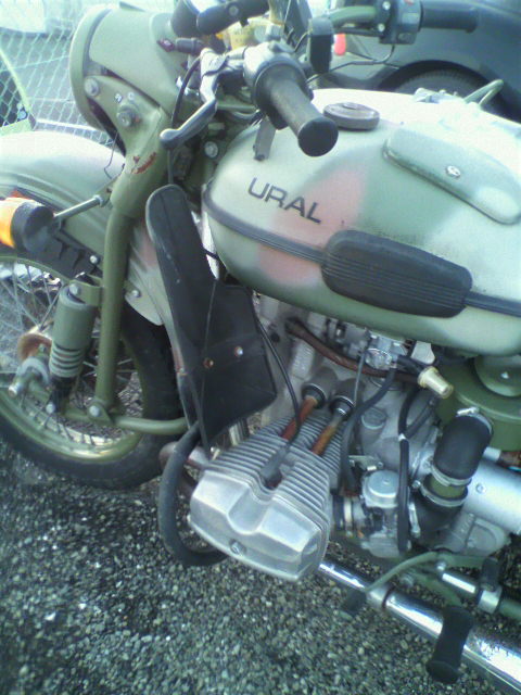 ��⃏�[�Q��(VW)���X K'S�}�X�^�[���L�E���̎U��