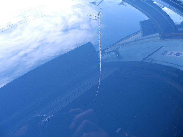 ��⃏�[�Q��(VW)���X K'S�}�X�^�[���L�E�o�J�I�I