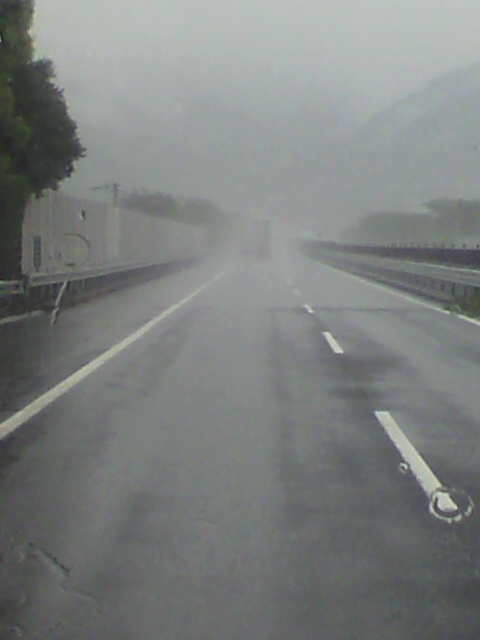 ��⃏�[�Q��(VW)���X K'S�}�X�^�[���L�E���i�Z����Buggy