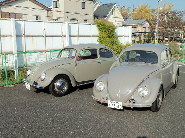 ��⃏�[�Q���r�[�g�� 1952�N�� �^�C�v1(TYPE1) STD