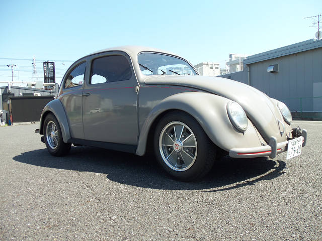 ��⃏�[�Q���r�[�g�� 1952�N�� �^�C�v1(TYPE1) STD