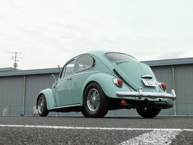 ��⃏�[�Q���r�[�g�� 1965�N�� �^�C�v1(TYPE1)