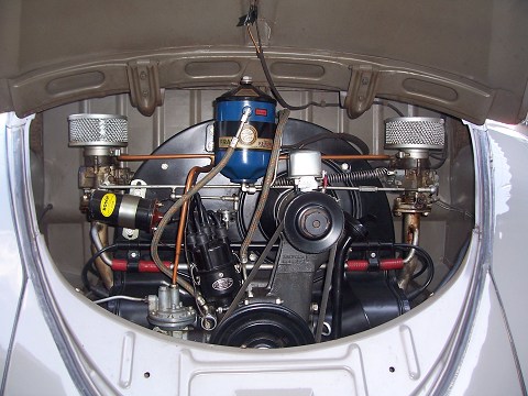 ��⃏�[�Q���r�[�g�� 1950�N�� �^�C�v1(TYPE1) STD