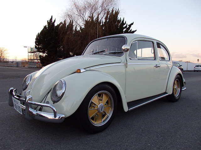 ��⃏�[�Q���r�[�g�� 1966�N�� �^�C�v1(TYPE1)