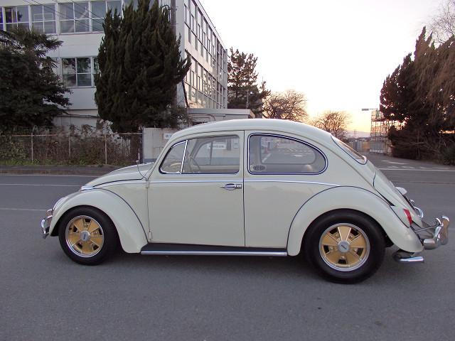 ��⃏�[�Q���r�[�g�� 1966�N�� �^�C�v1(TYPE1)