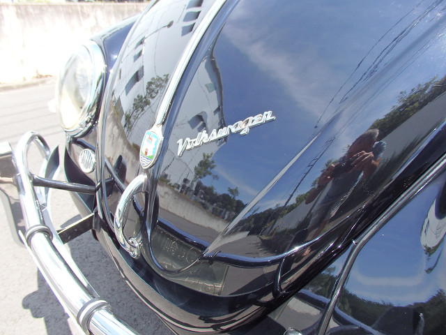 ��⃏�[�Q���r�[�g�� 1956�N�� TYPE-1 OVAL