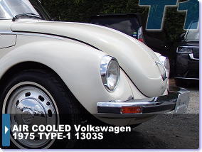 ��⃏�[�Q�� 1975�N�� TYPE-1 1303S